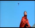 PDVD_476