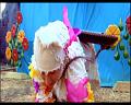 PDVD_492
