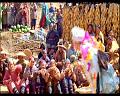 PDVD_493