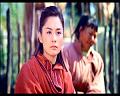 PDVD_594