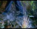 PDVD_644