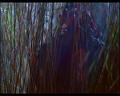 PDVD_651