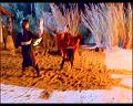 PDVD_701