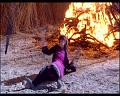 PDVD_731