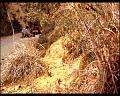 PDVD_745