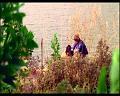 PDVD_763