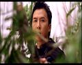 PDVD_767