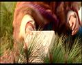 PDVD_798