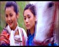 PDVD_850