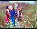 PDVD_854