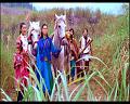 PDVD_855