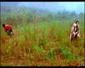 PDVD_859