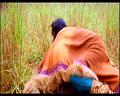 PDVD_861