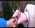 PDVD_874
