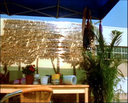 PDVD_527.jpg