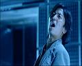 PDVD_981