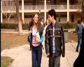 PDVD_316.jpg