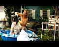 PDVD_1206