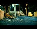PDVD_1345