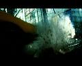 PDVD_1361