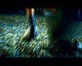 PDVD_1442