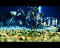 PDVD_1464