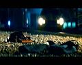 PDVD_1511