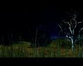 PDVD_1582