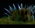 PDVD_1584