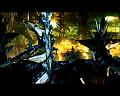 PDVD_1736