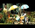 PDVD_264