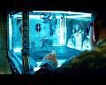 PDVD_2806