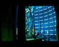 PDVD_3044