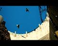 PDVD_3086