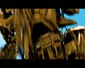 PDVD_3203