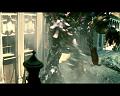 PDVD_3879