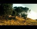 PDVD_404