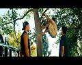 PDVD_419