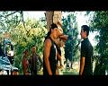 PDVD_424