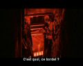 PDVD_1743.jpg
