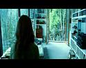 PDVD_1075