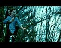 PDVD_1100