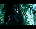 PDVD_1106