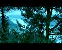 PDVD_1112