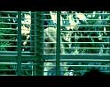 PDVD_113
