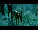 PDVD_1145