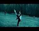 PDVD_1291