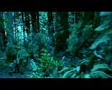 PDVD_1614