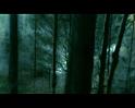 PDVD_1922