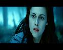 PDVD_792